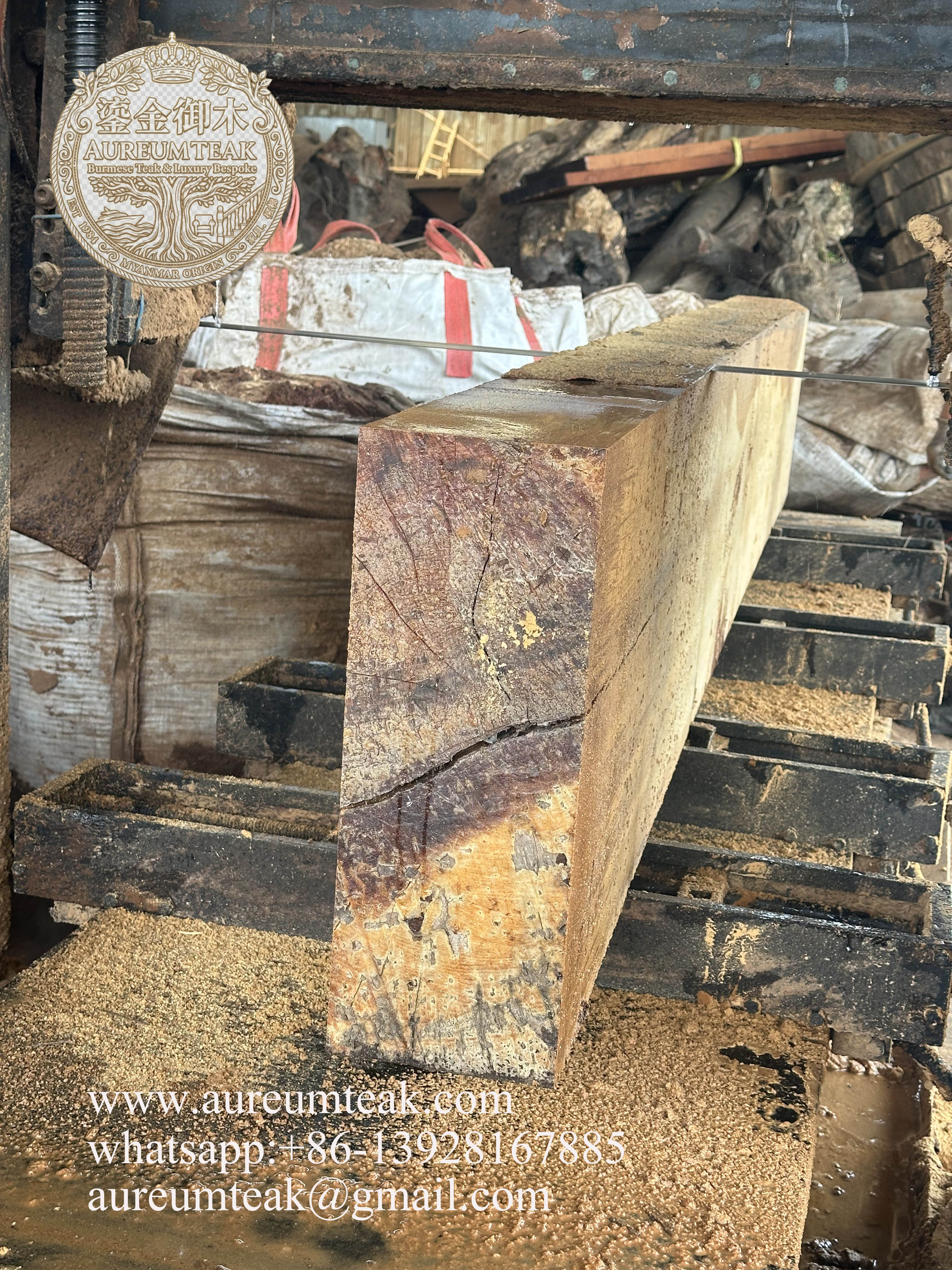 Premium 100% Burmese Teak Natural High Oil Log Cutting into the Board | Aureum Teak Factory Direct