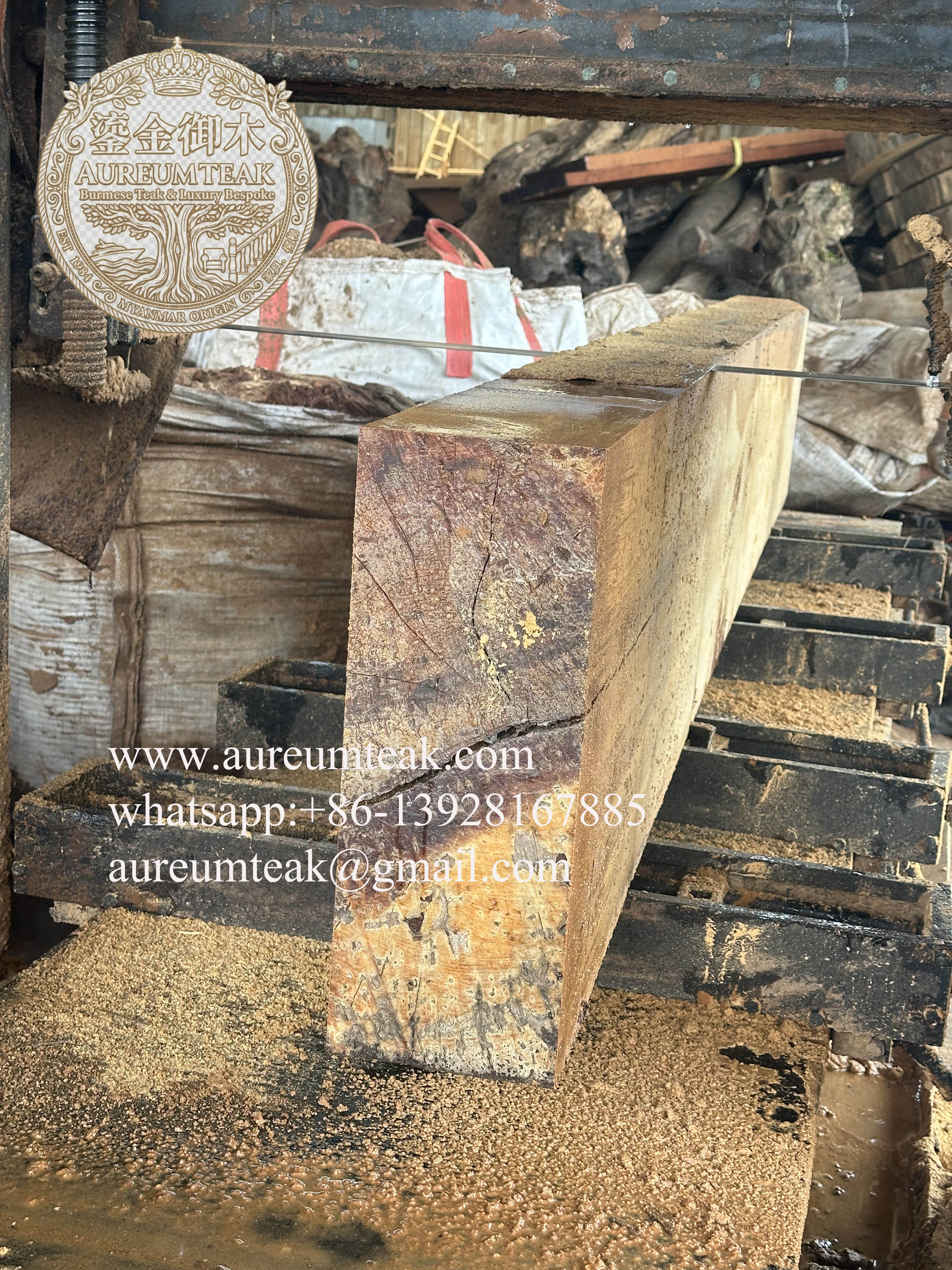 Premium 100% Burmese Teak Natural High Oil Log Cutting into the Board | Aureum Teak Factory Direct