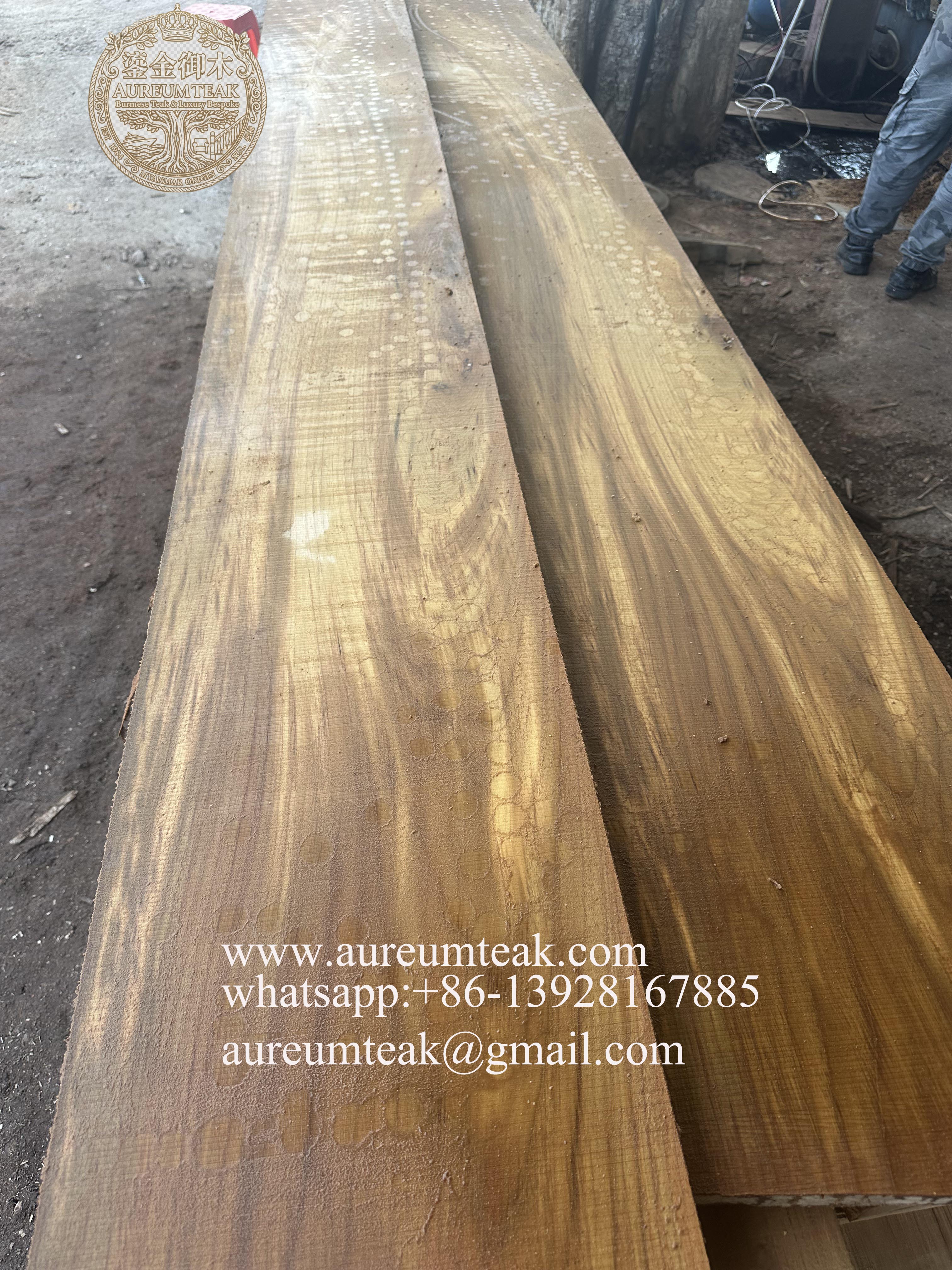 Premium 100% Burmese Teak Natural High Oil Log Cutting into the Board | Aureum Teak Factory Direct