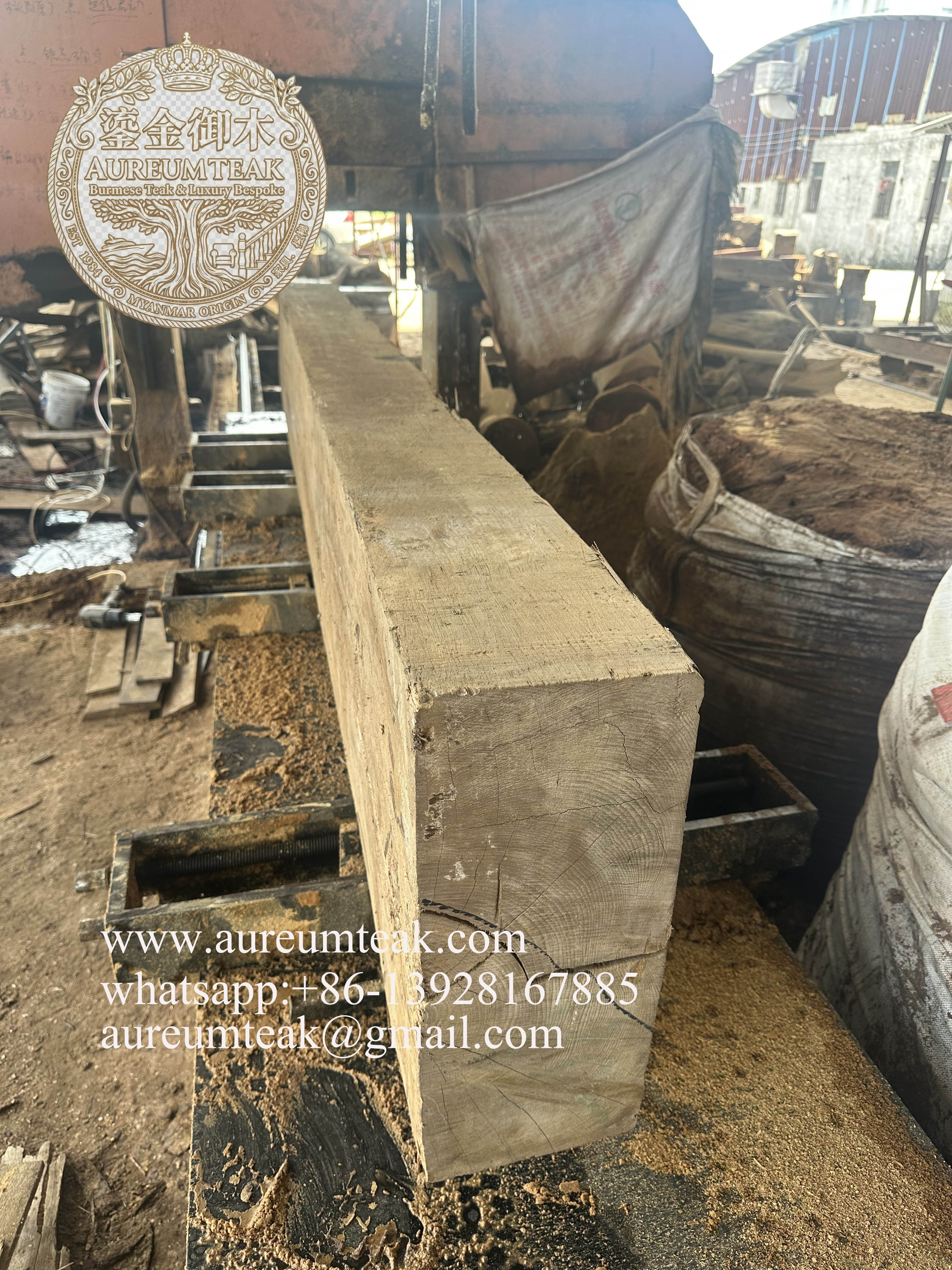 Premium 100% Burmese Teak Natural High Oil Log Cutting into the Board | Aureum Teak Factory Direct