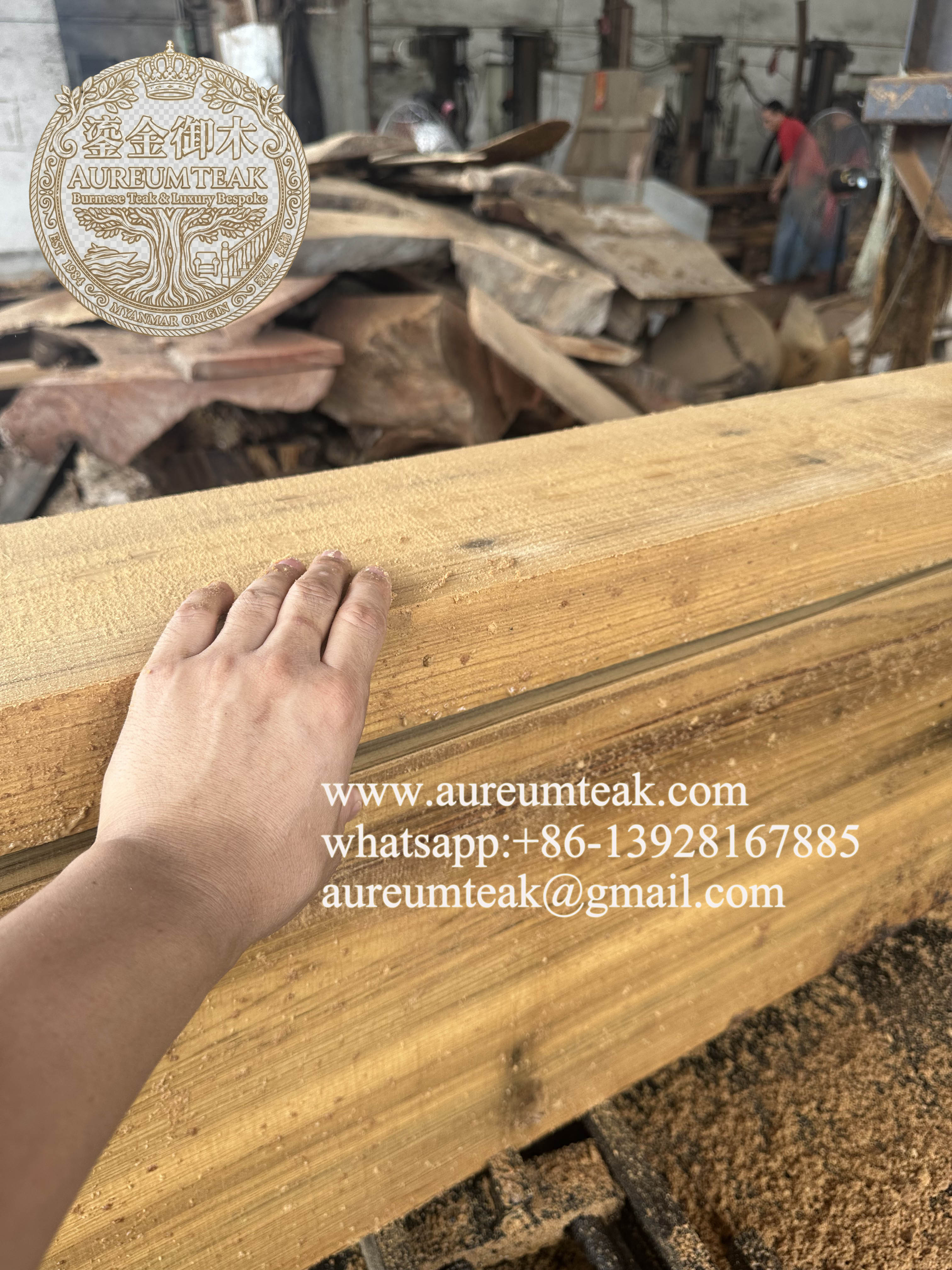Premium 100% Burmese Teak Natural High Oil Log Cutting into the Board | Aureum Teak Factory Direct