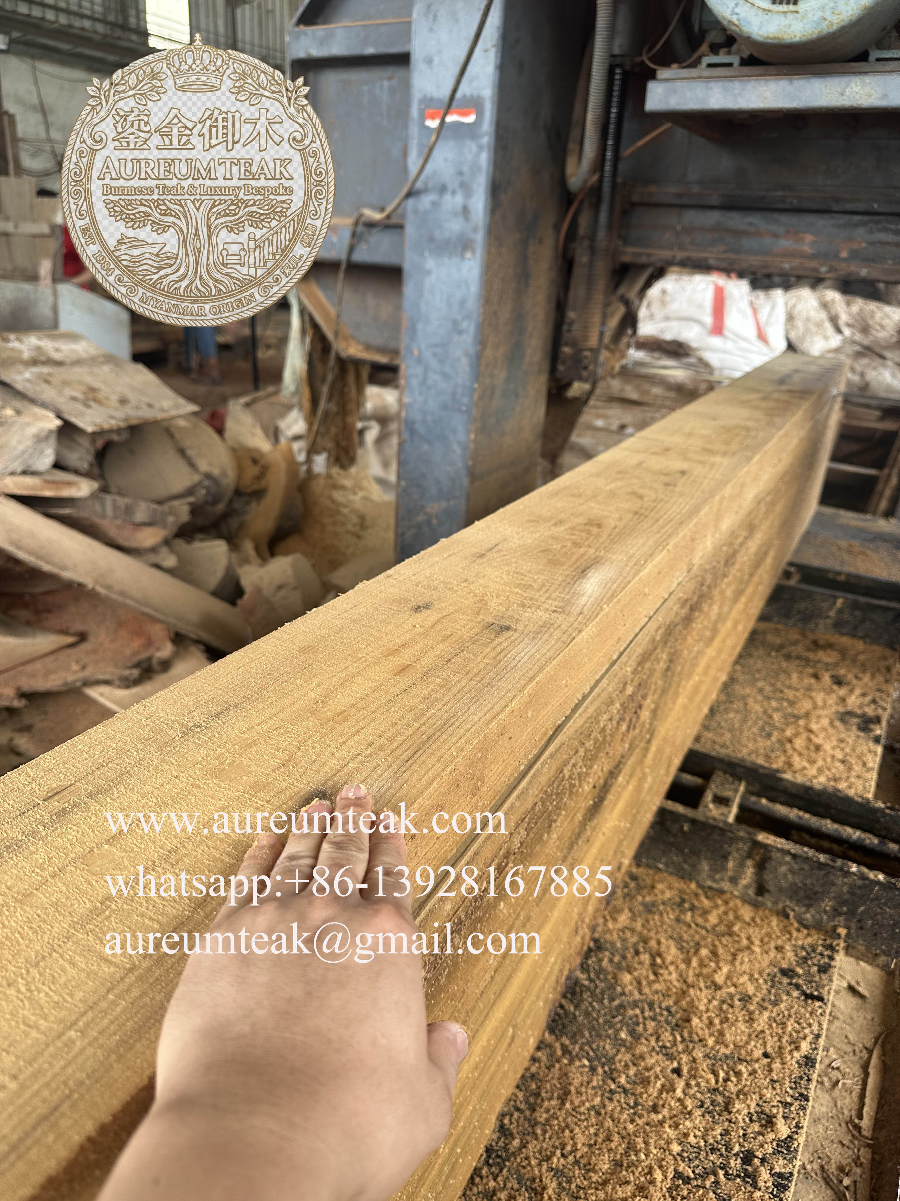 Premium 100% Burmese Teak Natural High Oil Log Cutting into the Board | Aureum Teak Factory Direct
